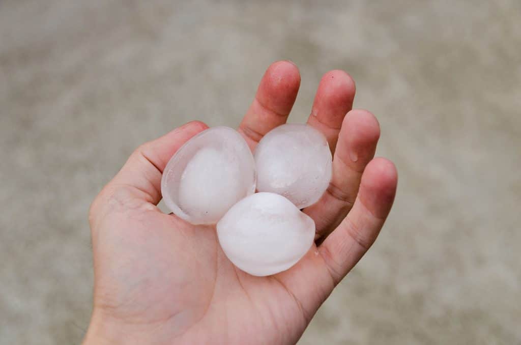 hail-damage
