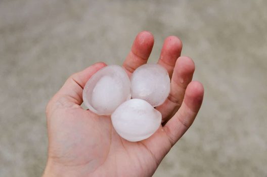 hail-damage